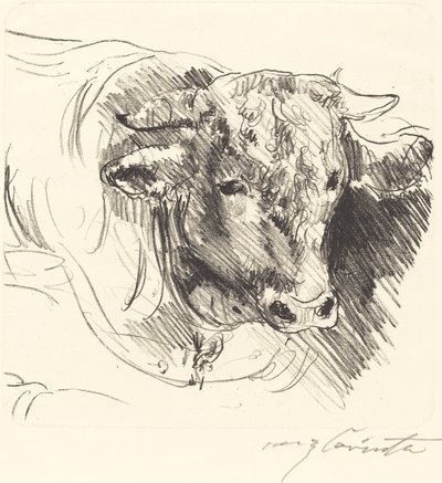 Stierkopf Head of a Steer, 1912. af Lovis Corinth