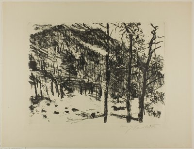 The Valley, fra det tidlige forår i bjergene af Lovis Corinth