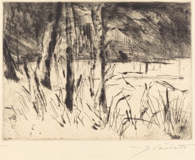 Tiergarten Zoologisk Have, 1922. af Lovis Corinth