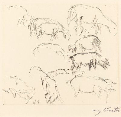 Forskellige dyreforsøg af Lovis Corinth