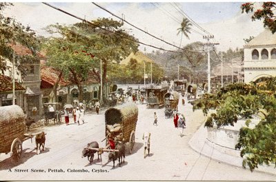 Gadescene, Pettah, Colombo, Ceylon, ca. 1900-20 (håndkoloreret fotografi) af Ltd. Ceylon Plâté