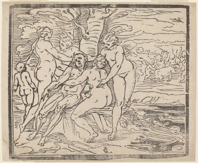 Adonis død af Luca Cambiaso