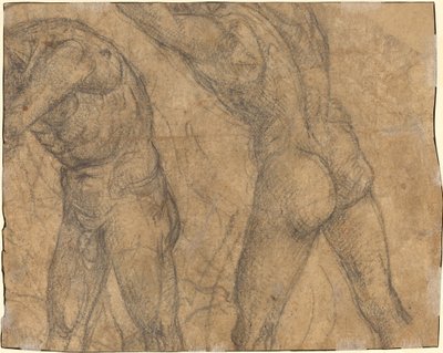 To nøgenfigurer [verso] af Luca Signorelli