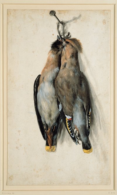 To døde bohemske vokser af Lucas Cranach the Elder