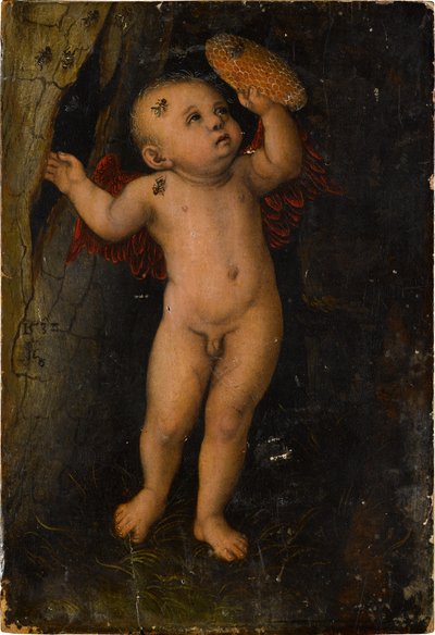 Amor als Honigdieb (Fragment) af Lucas Cranach