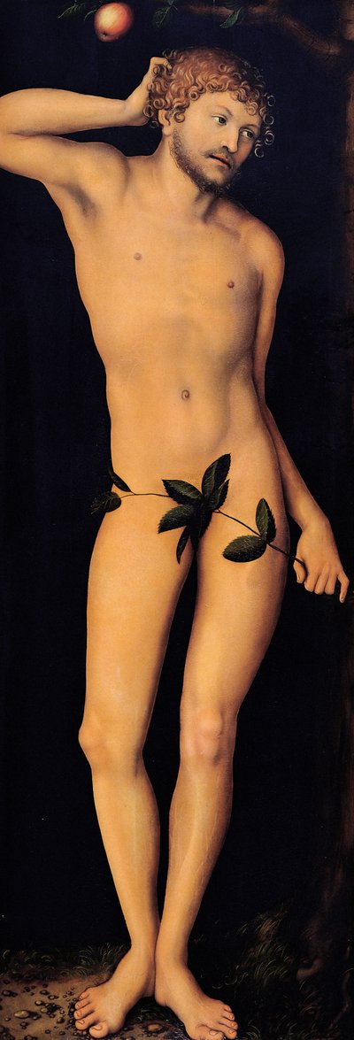 Adam, 1528. af Lucas Cranach the Elder