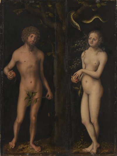 Tysk: Adam und Eva Adam og Eva af Lucas Cranach the Elder
