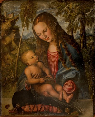 Madonna under grantræet af Lucas Cranach the Elder