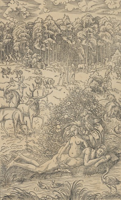 Evas skabelse af Lucas Cranach the Younger  