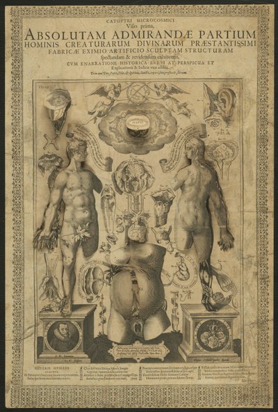 First Vision, fra Mirrors of the Microcosm af Lucas Kilian