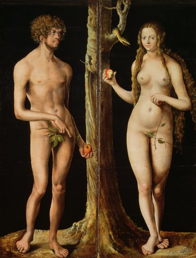 Adam og Eva, ca. 1508-10 (olie og tempera på kalk) (se også 159264) af Lucas the Elder Cranach