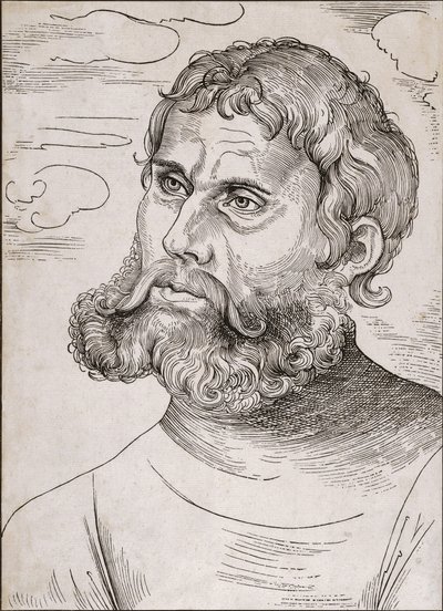 Portræt af Martin Luther som 