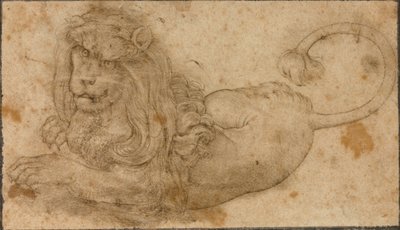 Studie af en løve af Lucas the Elder Cranach