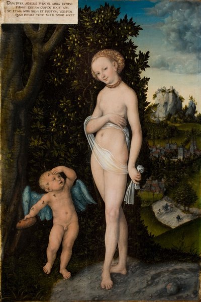 Venus med Amor, der stjæler honning af Lucas the Elder Cranach