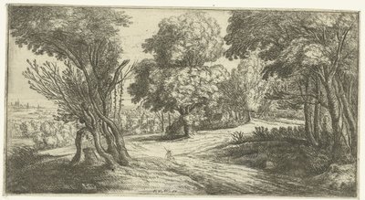 skovlandskab af Lucas van Uden