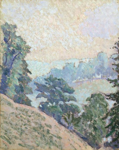Brookleton Dale, Youlgrave, Derbyshire af Lucien Pissarro