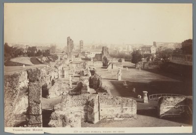 Ruinerne af de kejserlige paladser på Palatinerhøjen i Rom Aedes Pubblica, Palazzo dei Cesari (titel på objekt) af Ludovico Tuminello