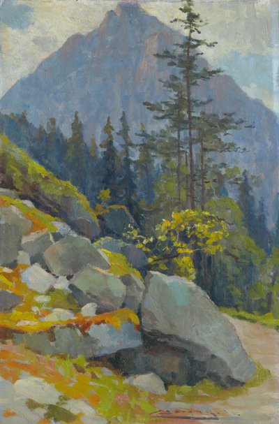 Tatra bjergene af Ludovit Cordak