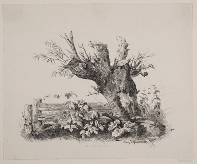 Ved et gærde af Ludvig Messmann