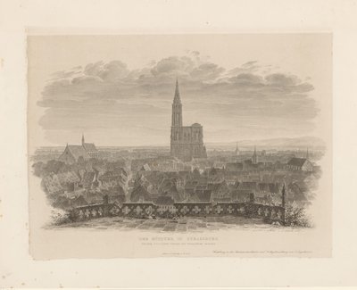 Portræt af katedralen i Straatsburg Ministeren i Strasbourg set fra Thomas-kirkens østlige tårn (titel på objekt) af Ludwig Friedrich Schnell