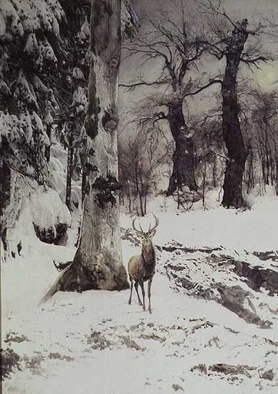En kronhjort i en sneklædt skov af Ludwig Fromme