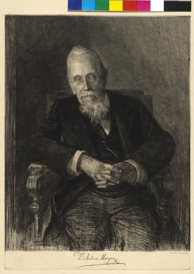 Anton Mayer af Ludwig Michalek