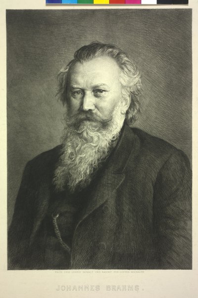 Johannes Brahms af Ludwig Michalek