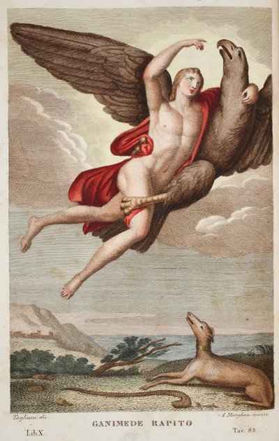 Ganymedes båret ind i himlen eller Ganimede Rapito, Bog X, illustration fra Ovids Metamorphoses, Firenze, 1832 (håndkoloreret gravering) af Luigi Ademollo