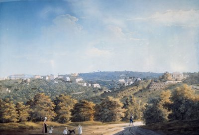 Capodimonte-bakken og villaer langs Ponti Rossi-vejen (gouache) af Luigi Fergola