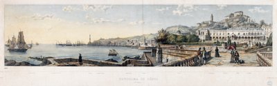 Panoramaudsigt over byen Genova (litografi af Luigi Garibbo