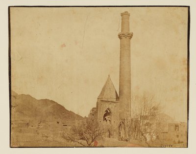 Natanz, minaret fra Khanaqah, Zabed Al-Samad af Luigi Pesce