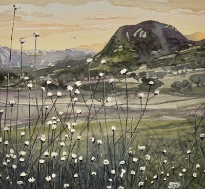 Golden Sky-vilde blomster af Luisa Millicent