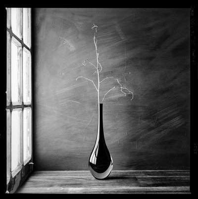 Minimalistisk grenvase af Luiz Laercio