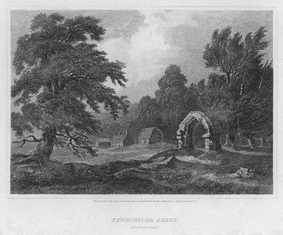 Newminster Abbey, Northumberland (gravering) af Luke (after) Clennell