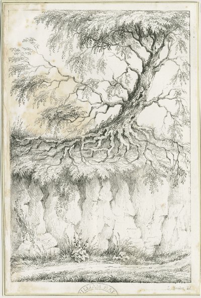 Dudley - Træ: litografi, nd [c 1825] (tryk) af Luke Booker