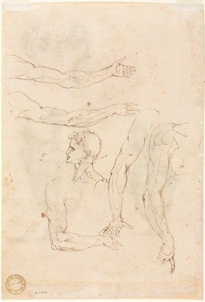 Skitser af Five Arms and a Head verso, midten af 1500-tallet. af Luzio Romano