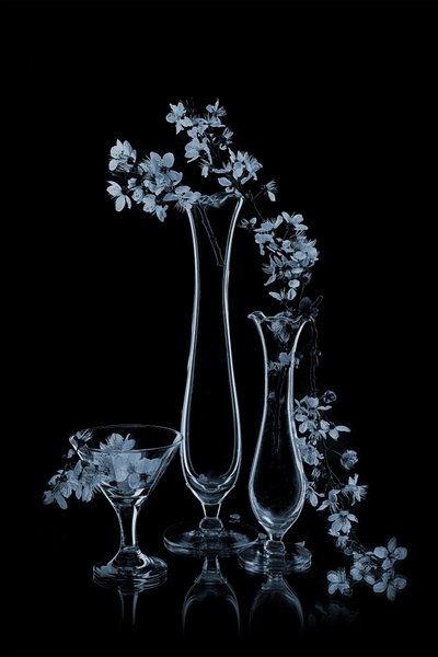 Blå blomster i glasvaser af Lydia Jacobs