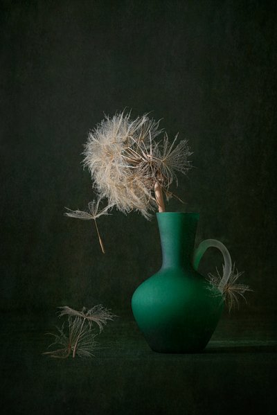 Mælkebøttefrø og grøn vase af Lydia Jacobs