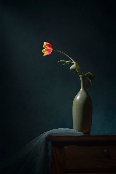 Mørkt blomsterstilleben af Lydia Jacobs