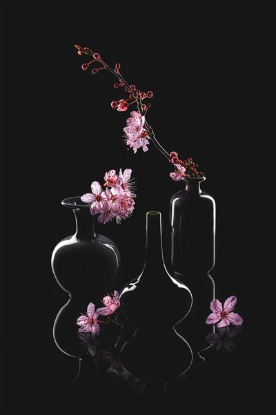 Elegante blomstervaser af Lydia Jacobs