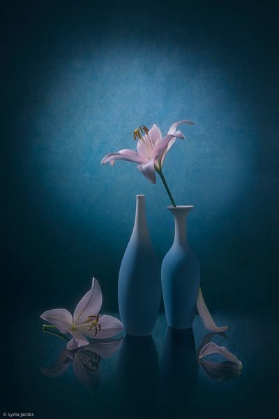Elegante blå liljer af Lydia Jacobs