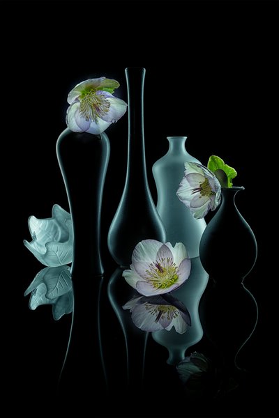 Elegant blomsterpragt af Lydia Jacobs