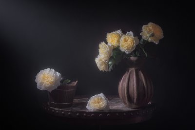 Elegante gule roser af Lydia Jacobs