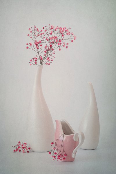 Sarte lyserøde blomster af Lydia Jacobs