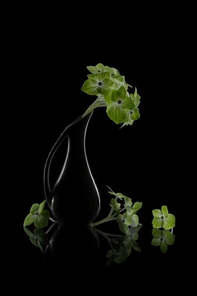 Refleksion af grønne blomster af Lydia Jacobs