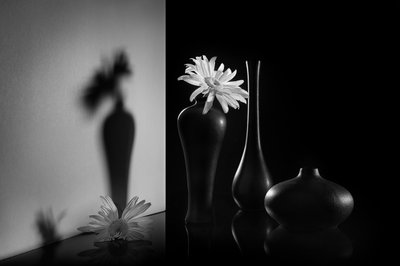 Monokrom blomsterduo af Lydia Jacobs