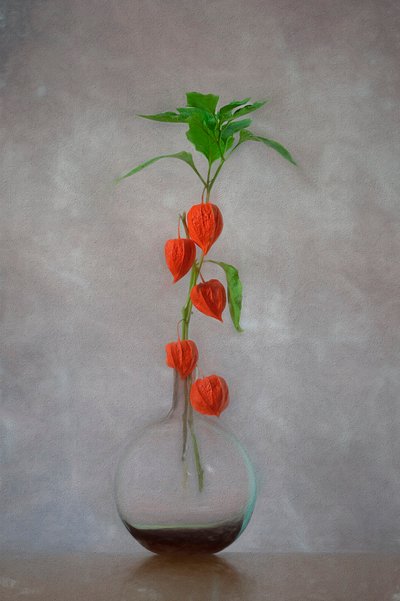 Vase med orange lanterner af Lydia Jacobs