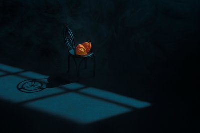 Stilleben med orange bælge af Lydia Jacobs