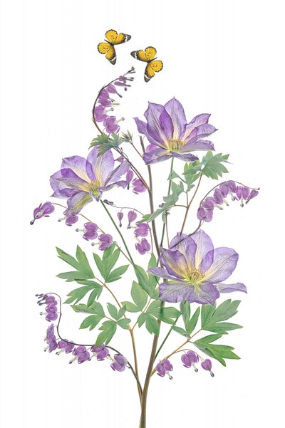 Lilla blomster og sommerfugle af Lydia Jacobs