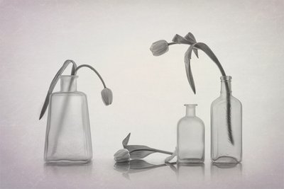Stille tulipanstilleben af Lydia Jacobs